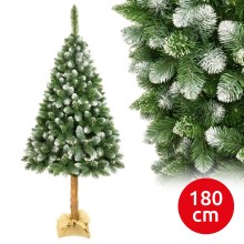 Vianočný stromček na kmeni 180 cm borovica
