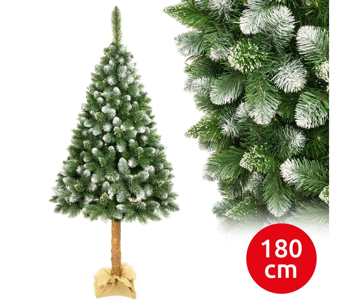 Vianočný stromček na kmeni 180 cm borovica EL-SODP180