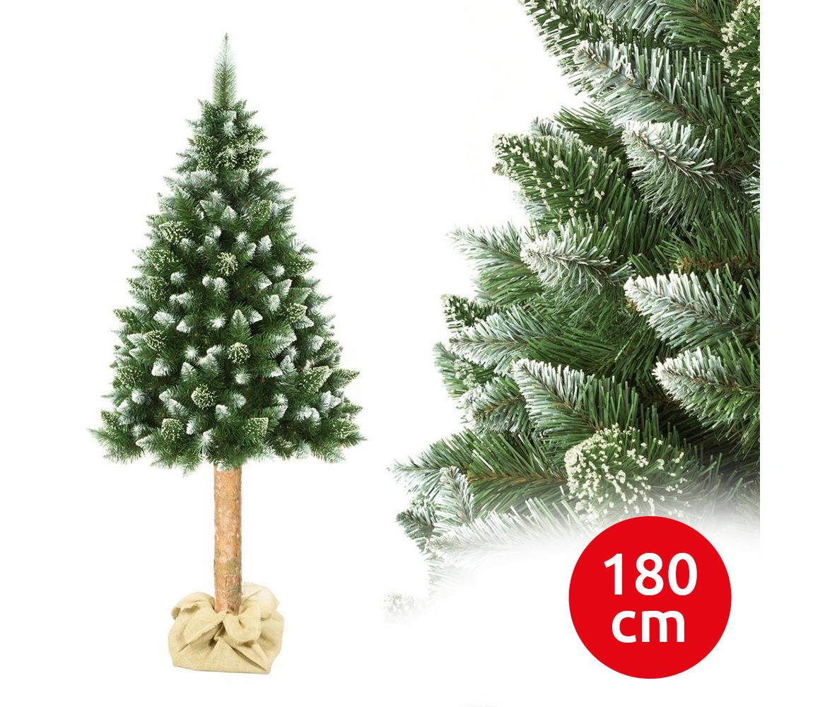 Vianočný stromček na kmeni 180 cm borovica
