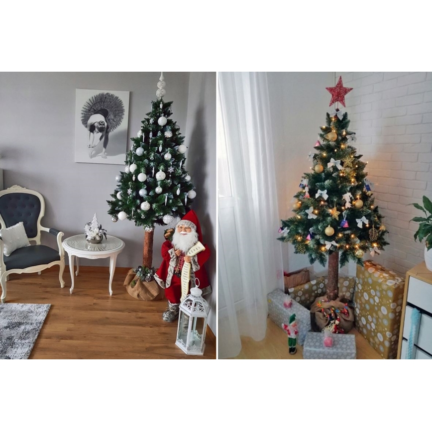 Vianočný stromček na kmeni 220 cm borovica