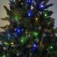 Vianočný stromček NORY 250 cm borovica