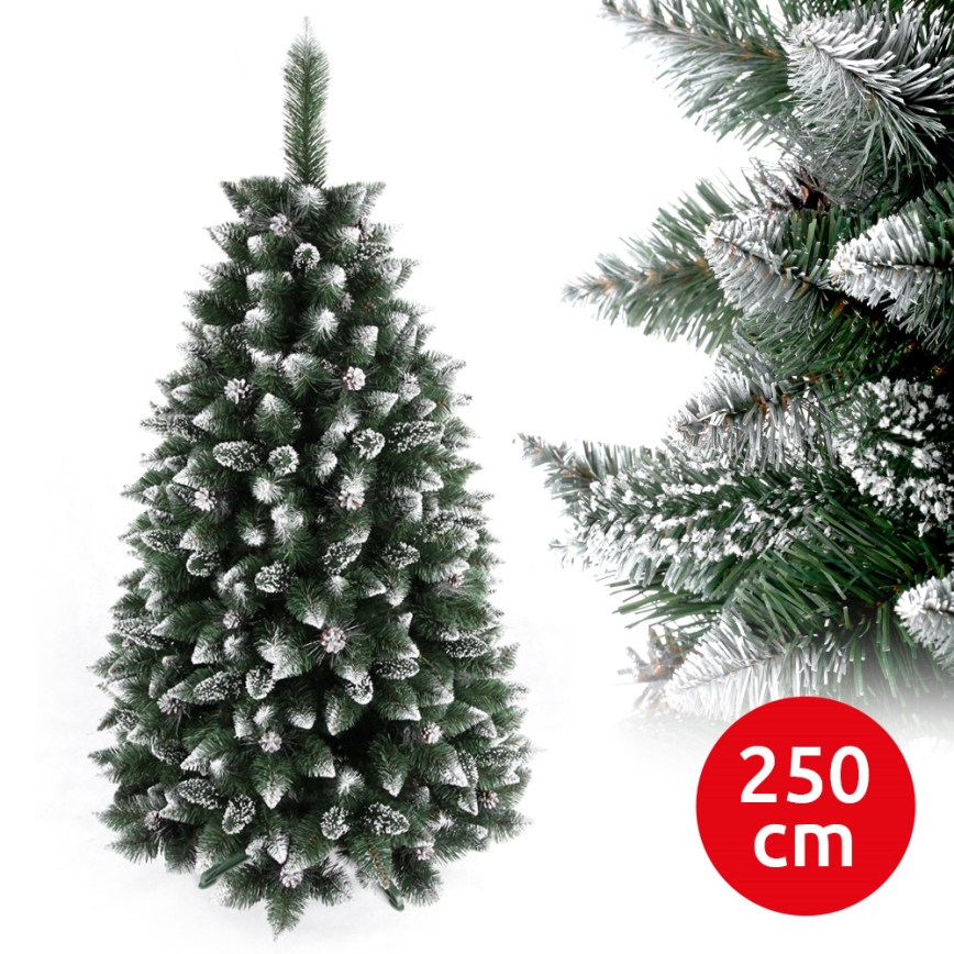 Vianočný stromček TAL 250 cm borovica