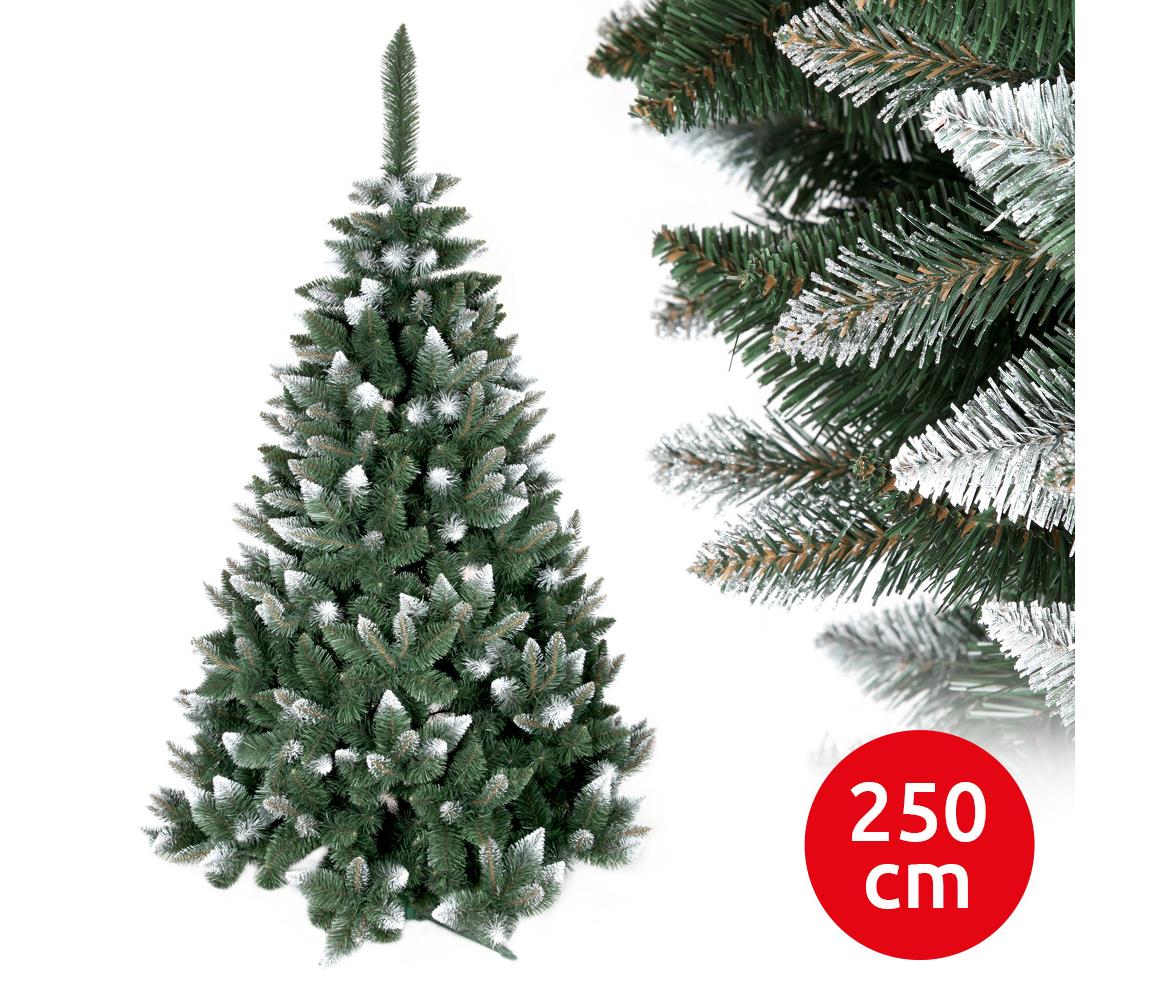 Vianočný stromček TEM 250 cm borovica MSBRB 250