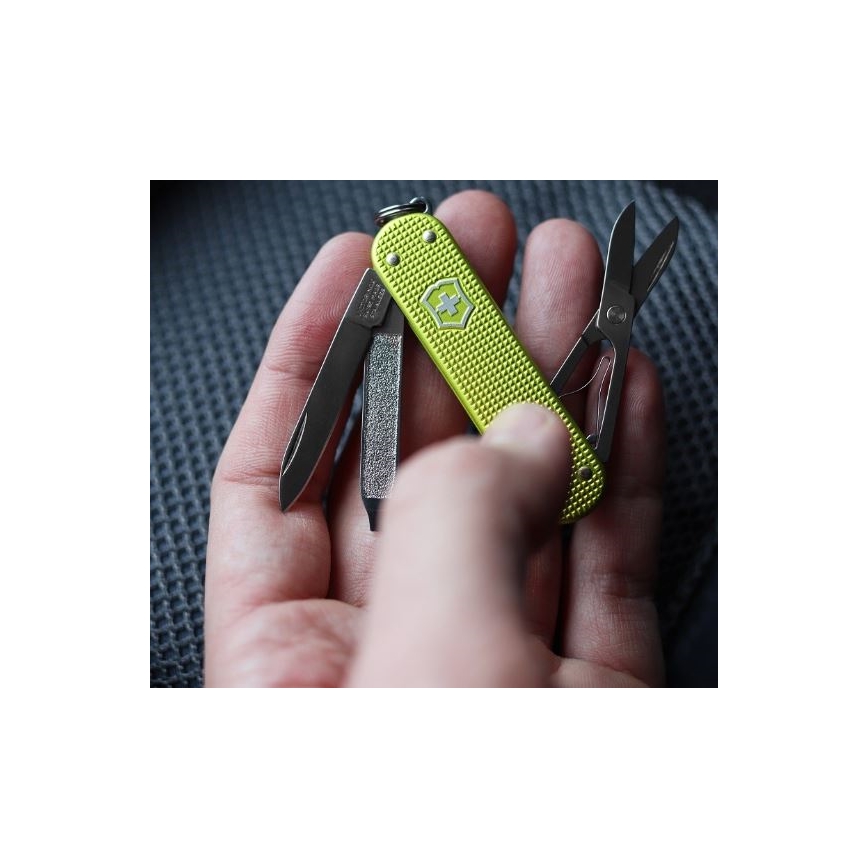 Victorinox - Multifunkčný vreckový nôž Alox Limited edition 5,8 cm/5 funkcií zelená