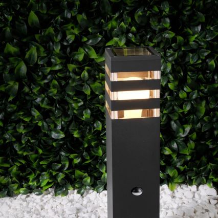 Vonkajšia lampa so senzorom TEKSAS 1xE27/12W/230V IP44 44 cm antracit
