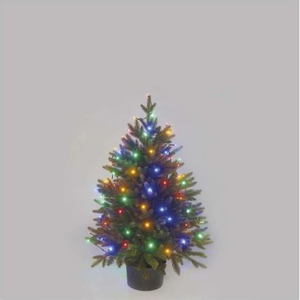 Vianočný stromček v črepníku je osvetlený farebnými LED svetlami. Stromček stojí na svetlom pozadí.