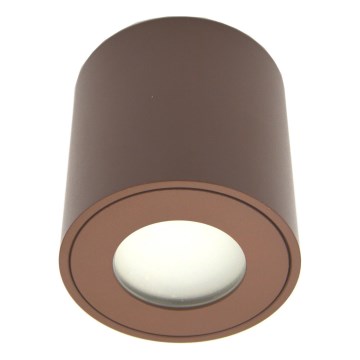 Vonkajšie bodové svietidlo FARA 1xGU10/30W/230V IP54 hnedé