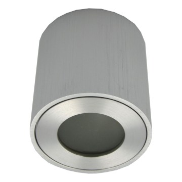 Vonkajšie bodové svietidlo FARA 1xGU10/30W/230V IP54 strieborné