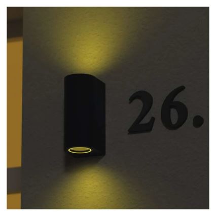 Vonkajšie nástenné svietidlo OCULUS 2xGU10/7W/230V IP44