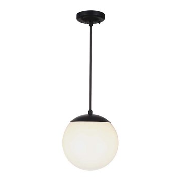 Vonkajšie závesné svietidlo na lane 1xE27/60W/230V pr. 20 cm IP44 čierne