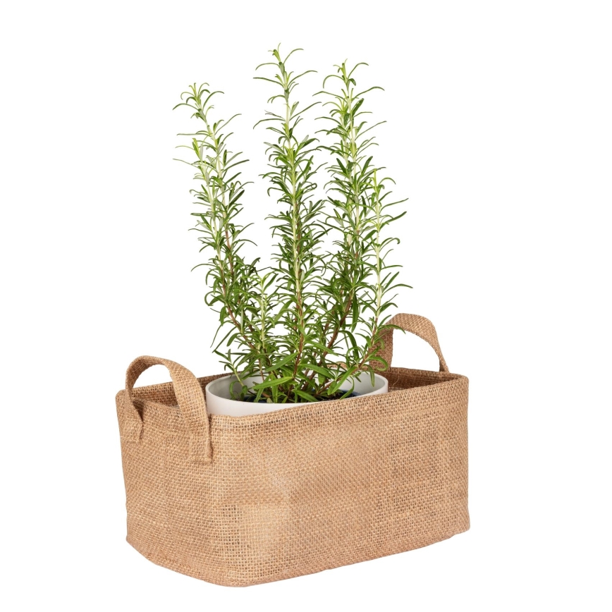 WENKO 64471100 - Kôš JUNA 24x17 cm hnedý