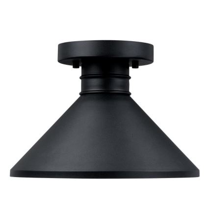 Westinghouse 61238 - Vonkajšie stropné svietidlo WALTER 1xE27/60W/230V IP44