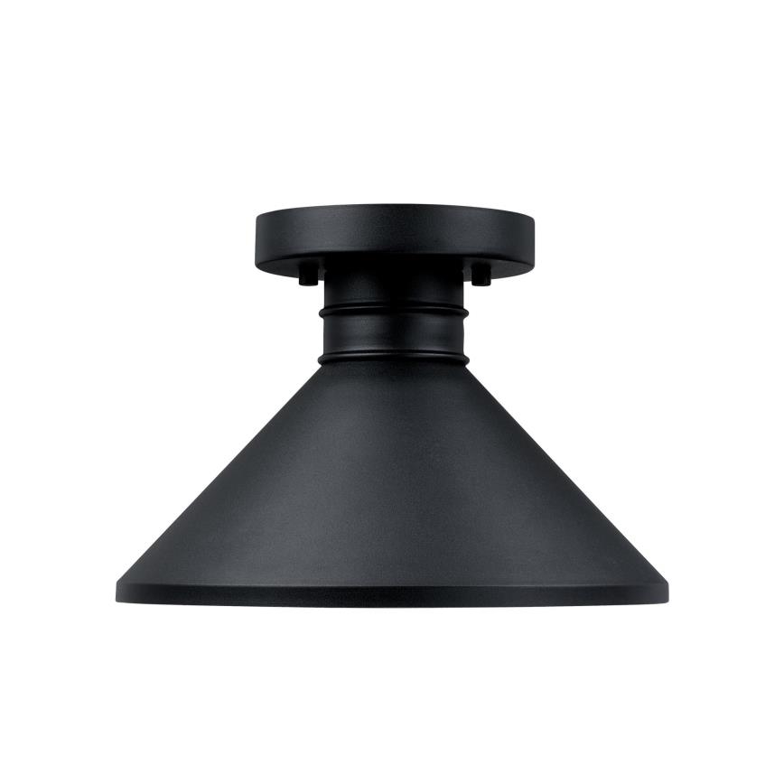 Westinghouse 61238 - Vonkajšie stropné svietidlo WALTER 1xE27/60W/230V IP44