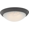 Westinghouse 6308940 - LED stmievateľné stropné svietidlo LED/15W/230V