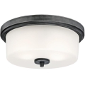 Westinghouse 6325140 - Stropné svietidlo CEDRIC 2xE27/40W/230V priemer 33 cm