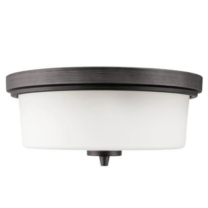 Westinghouse 6325140 - Stropné svietidlo CEDRIC 2xE27/40W/230V priemer 33 cm