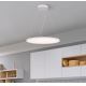 Westinghouse 65775 - LED Stmievateľný luster na lanku ATLER LED/40W/230V 60 cm