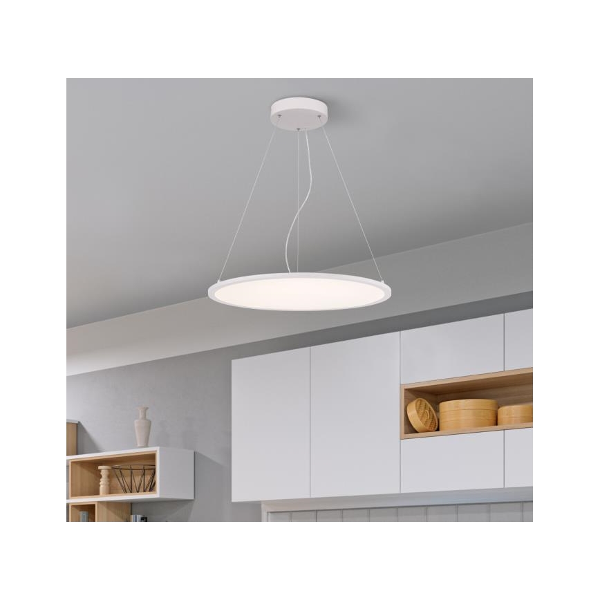 Westinghouse 65775 - LED Stmievateľný luster na lanku ATLER LED/40W/230V 60 cm