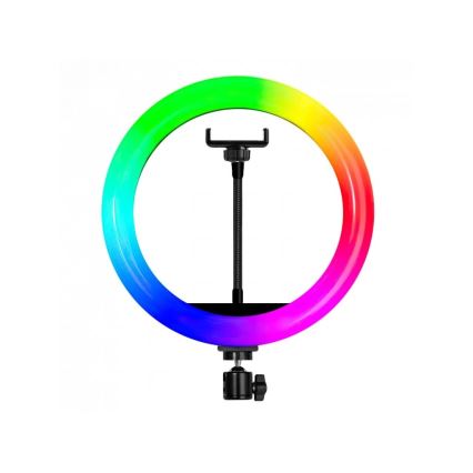 Winner Group - LED RGB stmievateľná stojacia lampa so stojanom a držiakom pre vlog LED/10W/5V