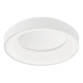 Wofi 11219 - LED Stmievateľné stropné svietidlo SHAY LED/37W/230V