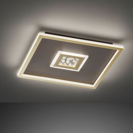 Wofi 12131FW - LED Stmievateľné stropné svietidlo FARIDA LED/56,5W/230V 3000K