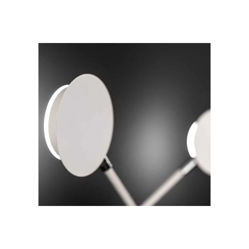 Wofi 446602069000 - LED Nástenné svietidlo BELIZE 2xLED/5W/230V 3000K biela