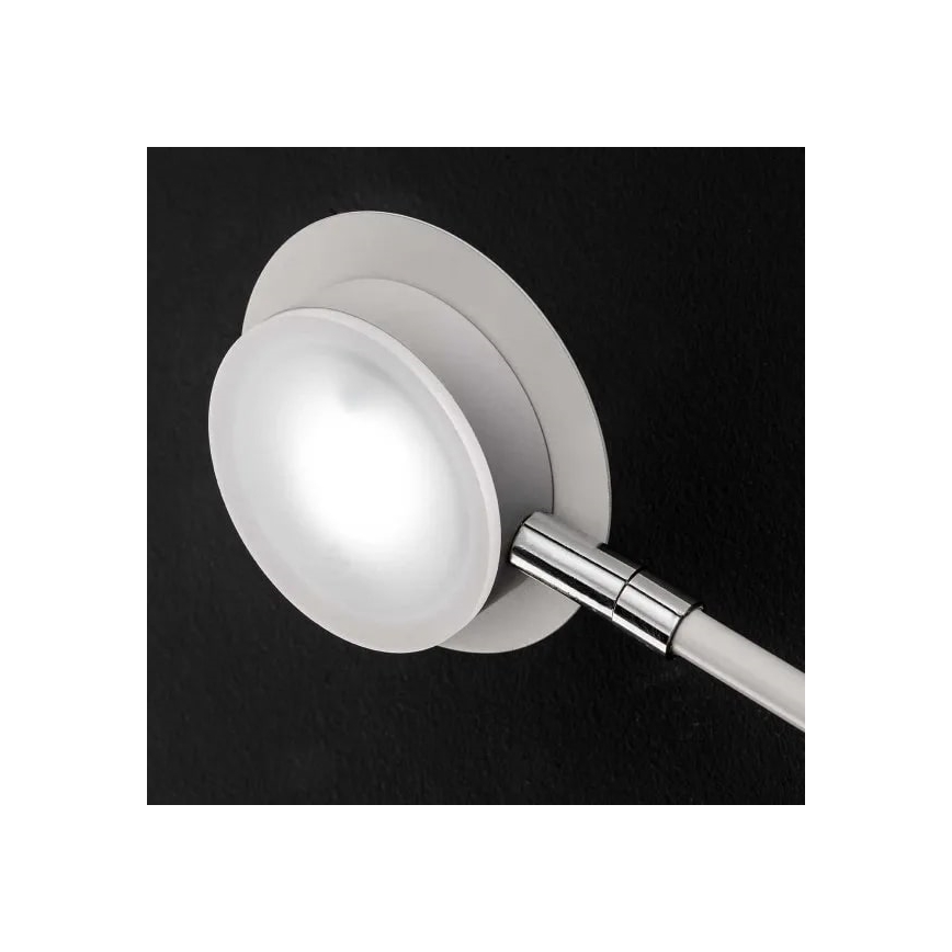 Wofi 446602069000 - LED Nástenné svietidlo BELIZE 2xLED/5W/230V 3000K biela