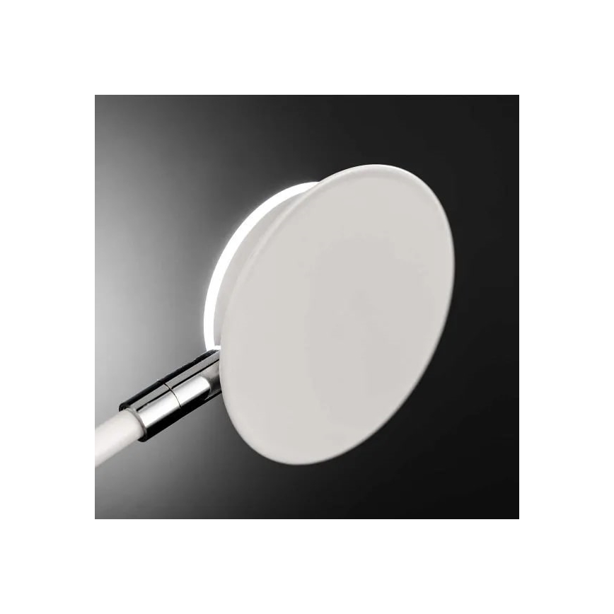 Wofi 446602069000 - LED Nástenné svietidlo BELIZE 2xLED/5W/230V 3000K biela