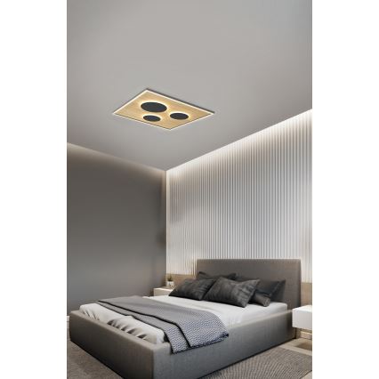 Wofi 9012-306L - LED Stmievateľné stropné svietidlo DIJON LED/40W/230V