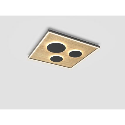 Wofi 9012-306L - LED Stmievateľné stropné svietidlo DIJON LED/40W/230V