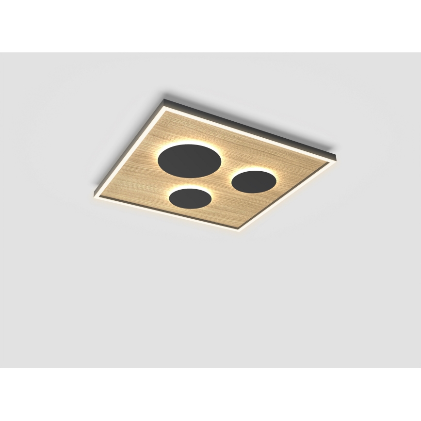 Wofi 9012-306L - LED Stmievateľné stropné svietidlo DIJON LED/40W/230V
