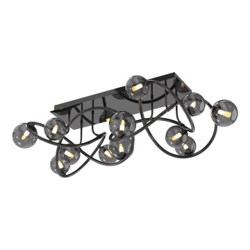Wofi 9014-1205 - LED Prisadený luster NANCY 12xG9/3,5W/230V čierna/lesklý chróm
