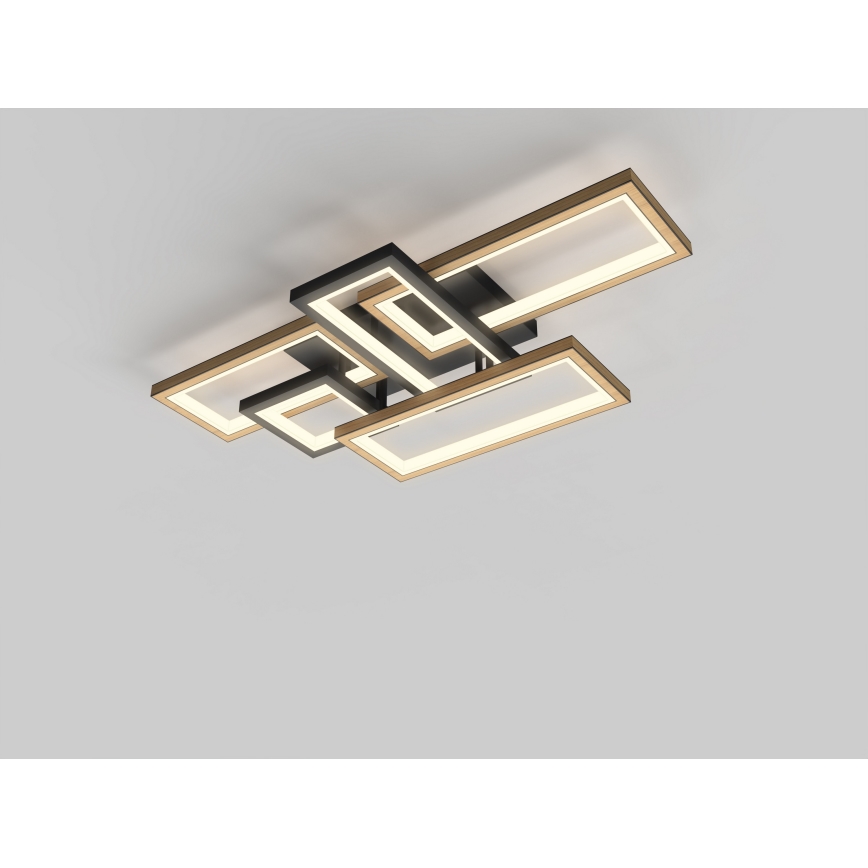 Wofi 9022-506 - stmievateľné LED stropné svietidlo MATERA LED/60W/230V