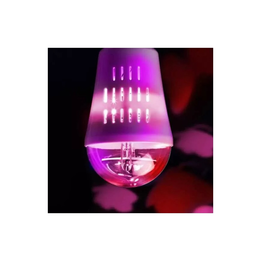 Wofi 9744 - LED Dekoračná žiarovka BUTTERFLY E27/4W/230V