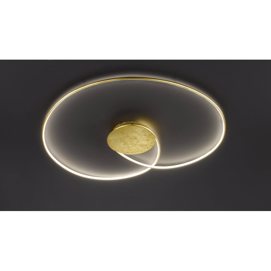 Wofi - LED Stropné svietidlo OPUS LED/32W/230V