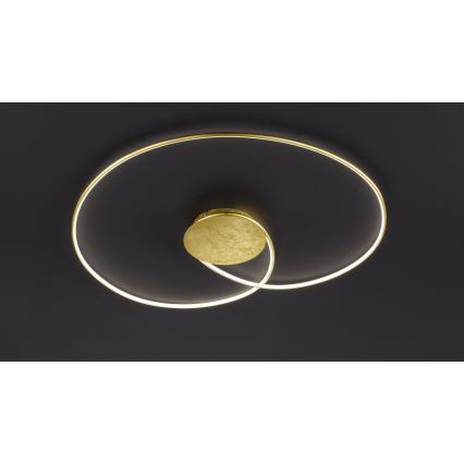 Wofi - LED Stropné svietidlo OPUS LED/32W/230V