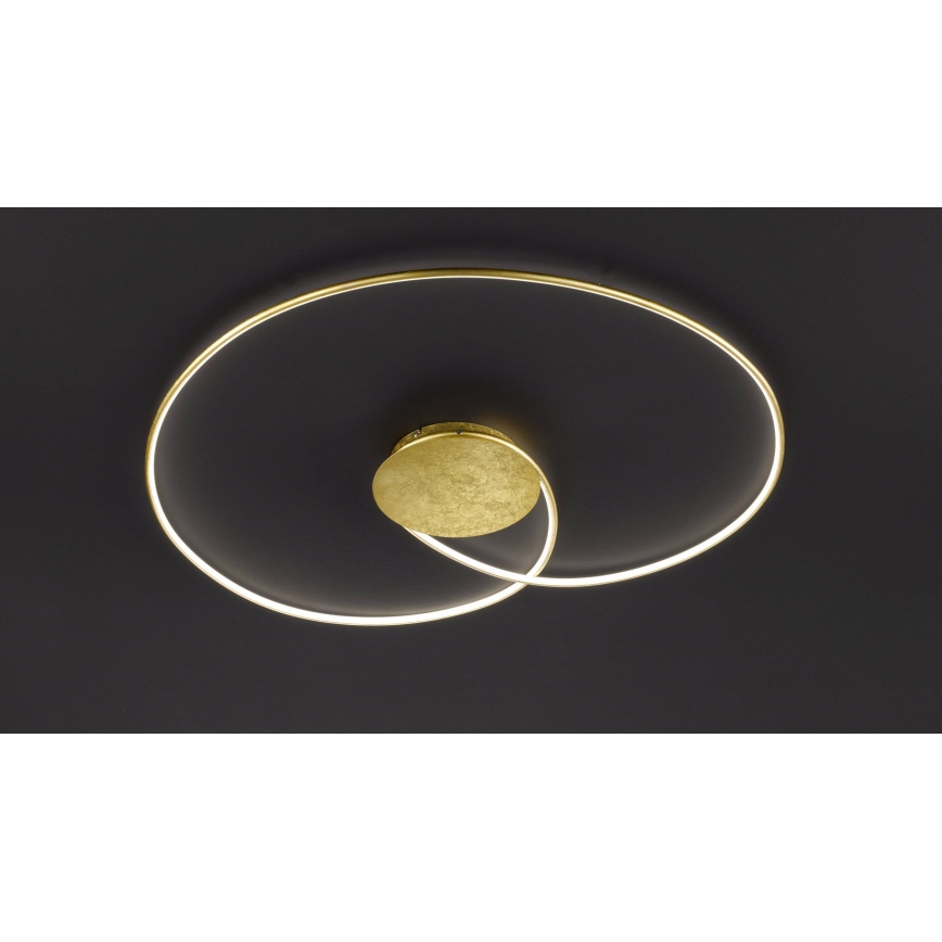 Wofi - LED Stropné svietidlo OPUS LED/32W/230V