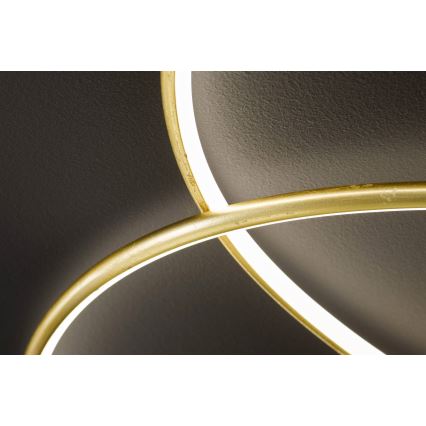 Wofi - LED Stropné svietidlo OPUS LED/32W/230V