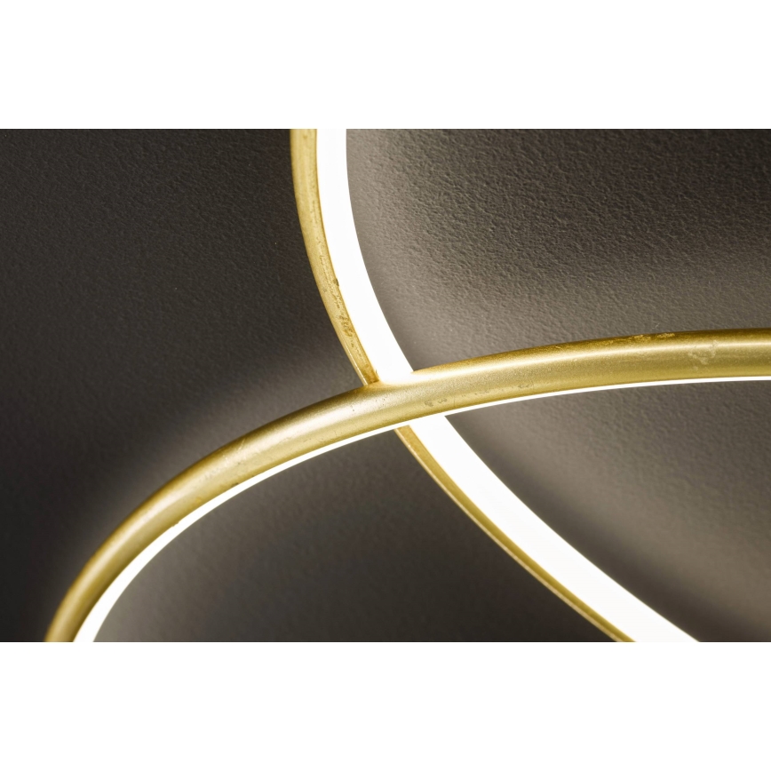 Wofi - LED Stropné svietidlo OPUS LED/32W/230V