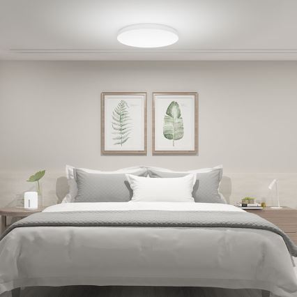 Xiaomi  - LED Stmievateľné stropné svietidlo LED/45W/230V CRI 95 IP50 Wi-Fi/Bluetooth