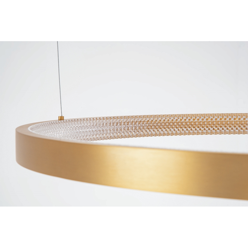 Zambelis 2007 - LED Stmievateľný luster na lanku LED/50W/230V zlatá
