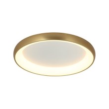 Zambelis 2042 - LED Stmievateľné stropné svietidlo LED/30W/230V pr. 40 cm zlatá