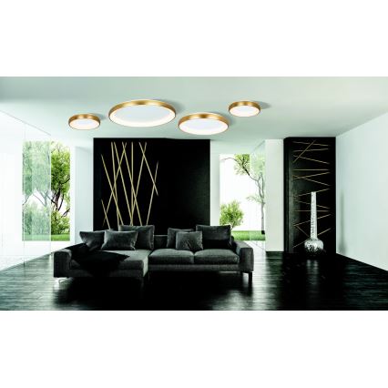 Zambelis 2042 - LED Stmievateľné stropné svietidlo LED/30W/230V pr. 40 cm zlatá