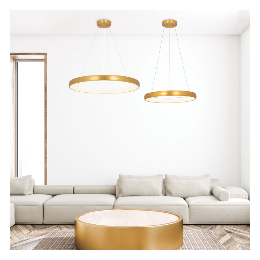 Zambelis 2046 - LED Stmievateľný luster na lanku LED/30W/230V pr. 40 cm zlatá