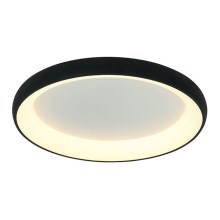 Zambelis 2048 - LED Stmievateľné stropné svietidlo LED/50W/230V pr. 60 cm čierna