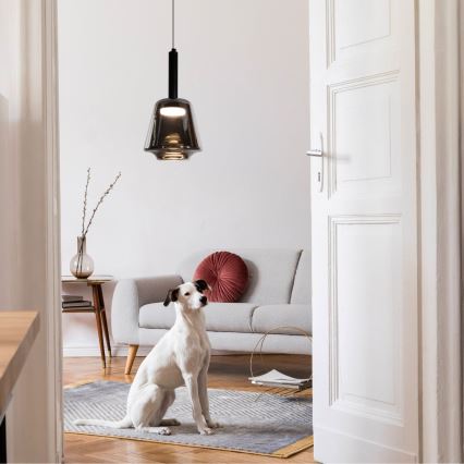 Závesné svietidlo na lanku BUENO 1xGX53/9W/230V pr. 18 cm dymovo čierne