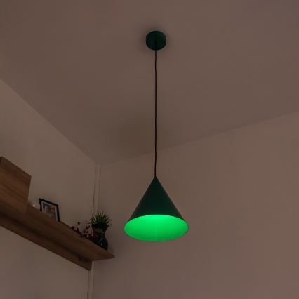 Závesné svietidlo na lanku ETNA 1xE27/15W/230V pr. 25 cm zelené