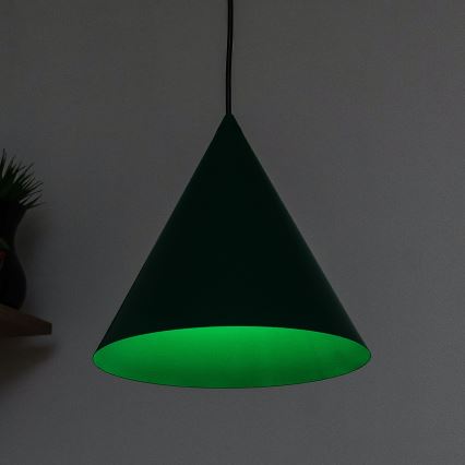 Závesné svietidlo na lanku ETNA 1xE27/15W/230V pr. 25 cm zelené