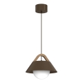 Závesný luster FUNDA na lanku 1xE27/15W/230V hnedý