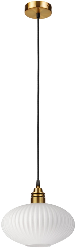 Závesný luster HECTOR 1xE27/15W/230V pr. 25 cm